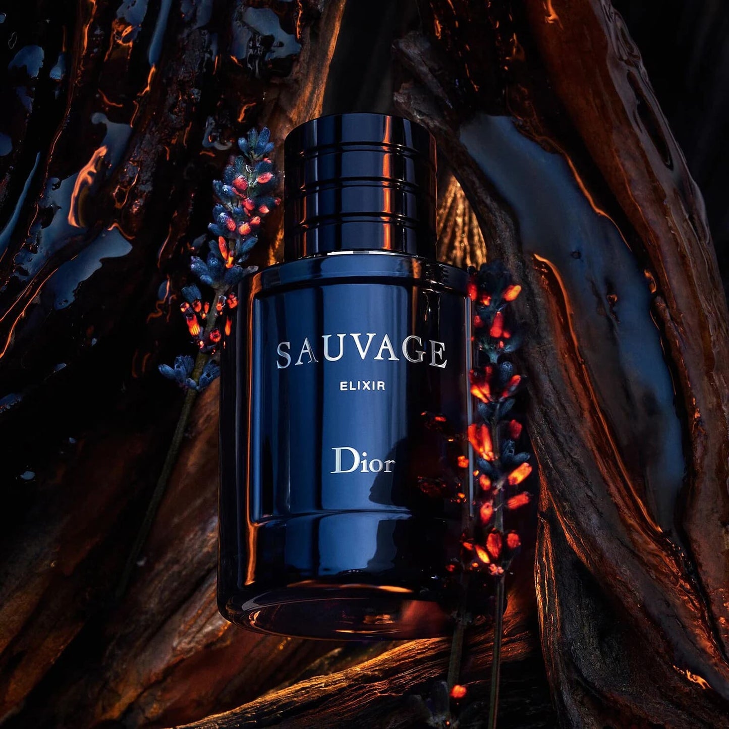 Sauvage Elixir / Dior